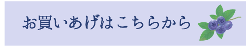 お買いあげはこちらから