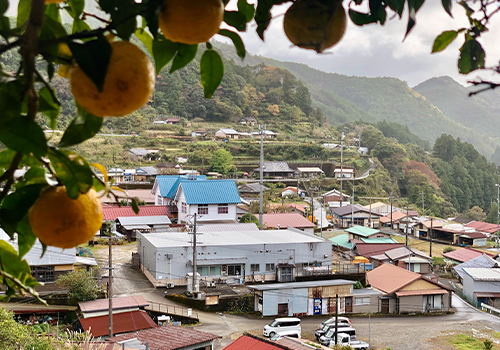 柚子畑からみた工場