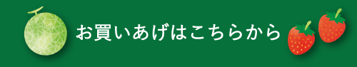 お買いあげはこちらから