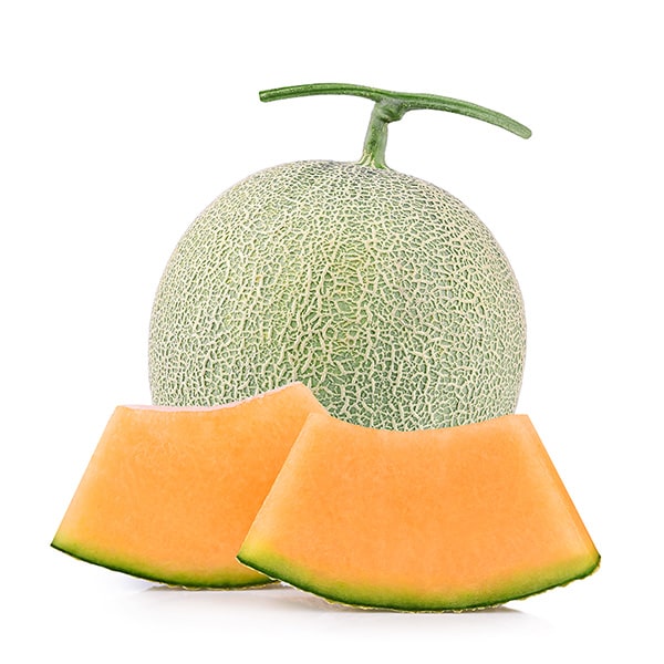 岡山県倉敷市 くまさんの森