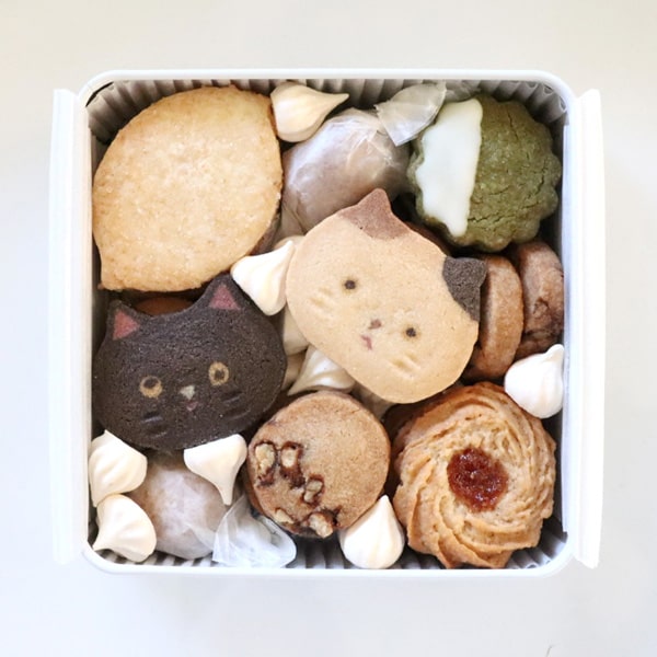 兵庫県豊岡市 Atelier15時