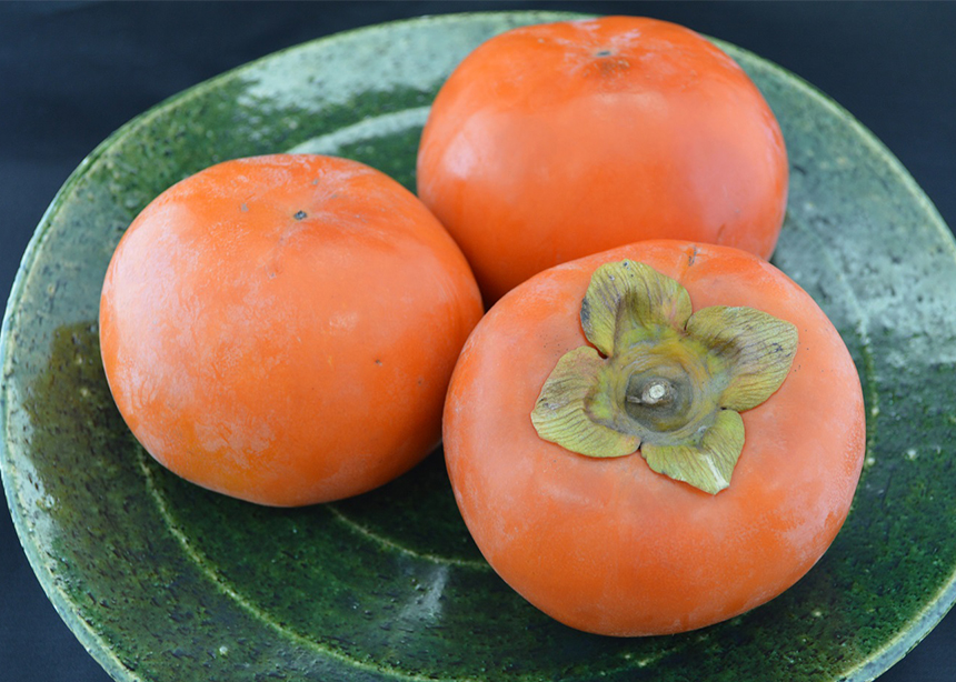 道の駅 織部の里もとす