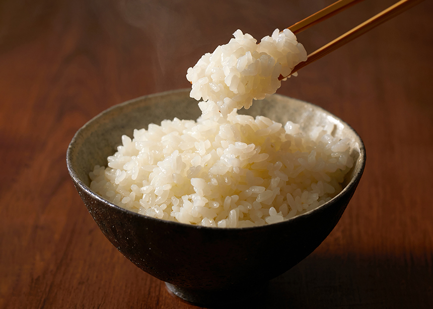 丹後王国 食のみやこ